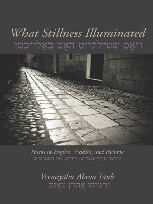 cover image of What Stillness Illuminated